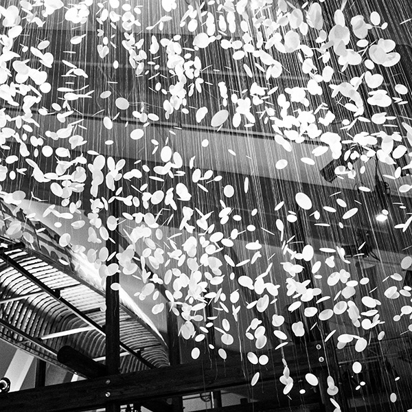 Photo en noir et blanc de l'oeuvre d'art l'Envolée de l’artiste Hanna Claus formée de beaucoup de pastilles de papier blanc supsendues.